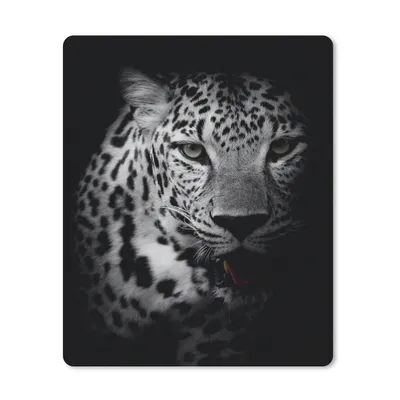 Produktbild von MuchoWow® Mauspad Mousepad Tiere - Schwarz - Weiß - Panther - Porträt 30x40 cm - Mousepads - Maus Mat - Pad - Mausunterlage - Mausmatten