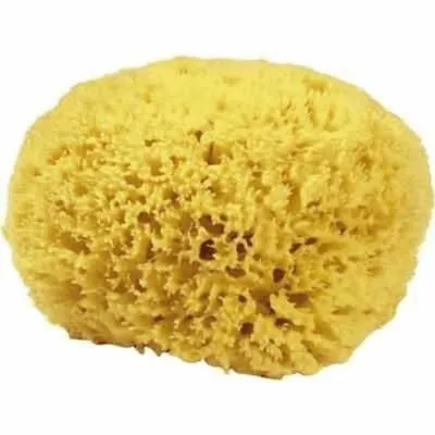 Productafbeelding van Croll & Denecke Natuurspong, 14 cm, model M140