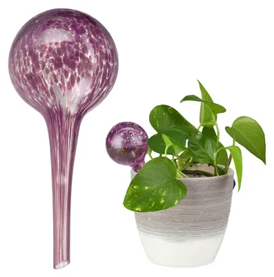 Produktbild von Set mit 2 Glas-Bewässerungskugeln für Pflanzen