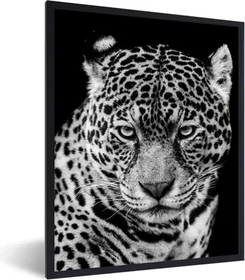 Produktbild von MuchoWow® Gerahmtes Poster Leopard - Tiere - Schwarz - Weiß - Porträt 60x80 cm - Poster mit Schwarzem Bilderrahmen Wandposter Rahmen Foto Bilder - Premium - Wanddeko Wohnzimmer