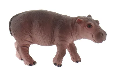 Immagine prodotto di Cucciolo di ippopotamo