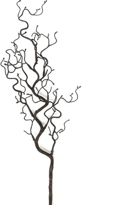 Produktbild von Deko Ast, künstlicher Zweig H. 64cm B. 8cm braun Formano