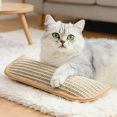 Produktbild von Katzenminze Spielzeug Für Katzen - Katzenminze Kissen Für Katzen,Sisal Kratzpad Zur Selbstbeschäftigung Für Hauskatzen