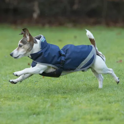Image de Bucas Freedom Dog 300g - Navy/Silver
