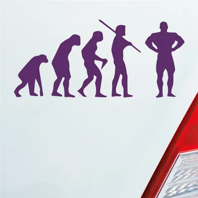Produktbild von Auto Aufkleber Evolution Fitness Sport Bodybuilding 15x7 cm Lila Sticker Heckscheibenaufkleber
