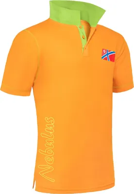 Productafbeelding van Nebulus Poloshirt ALEO, herenmodel, shirt, sweatshirt, polo, P4998 - heren, oranje, maat L
