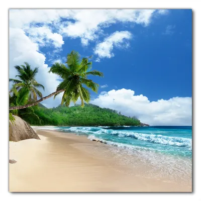 Produktbild von Wallario selbstklebende Möbelfolie/ Tischdecke für Innen und Außen, Größe: 70 x 70 cm - Urlaub auf den Seychellen unter Palmen am Sandstrand