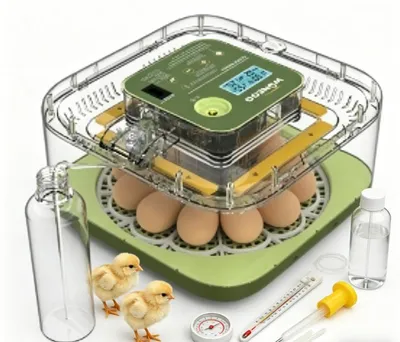 Produktbild von Vollautomatischer Eierbrutapparat 12 Eier, automatische Wende, Temperatur- & Feuchtigkeitsregelung, LED Eierleuchte, leise Inkubator für Huhn Wachtel