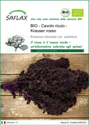 Immagine prodotto di SAFLAX  -- Cavolo riccio - Krauser rosso - 50 semi - Brassica