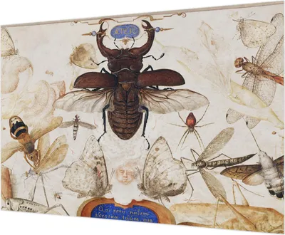 Zdjęcie produktu dla Tapeta ścienna – tapeta dekoracyjna do salonu – folia tapetowa do dekoracji ścian – 312 x 219 cm – naturalna harmonia