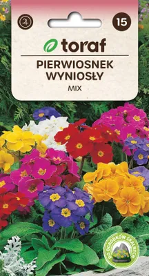 Zdjęcie produktu dla Pierwiosnek wyniosły Nasiona kwiatów - 621 Toraf