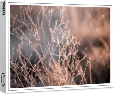 Image de puzzle raxxa Premium "Frost", 1000 pièces