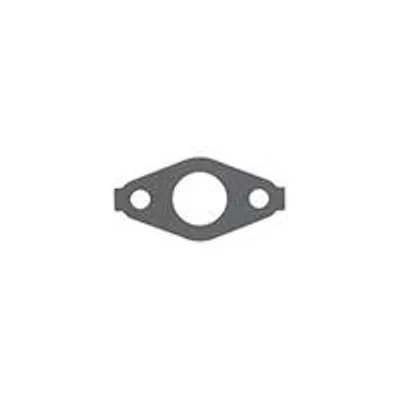Image de Tubulure d'admission pour moteurs modèles 090602 et 100602 – Origine : 692555.