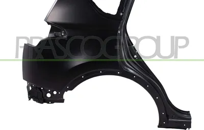 Produktbild von PRASCO TY2913054 Kotflügel Hinten Links für TOYOTA RAV 4 IV (ZSA4, ALA4)