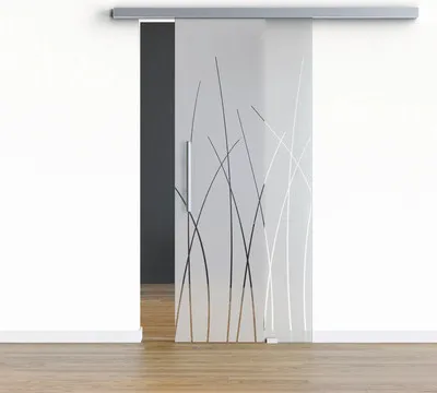 Produktbild von Pertura Glasschiebetür Komplettset Glera Reeds 02 1025x2175 mm Rechts inkl. Beschlag Selir Aluminium Edelstahloptik,Stan