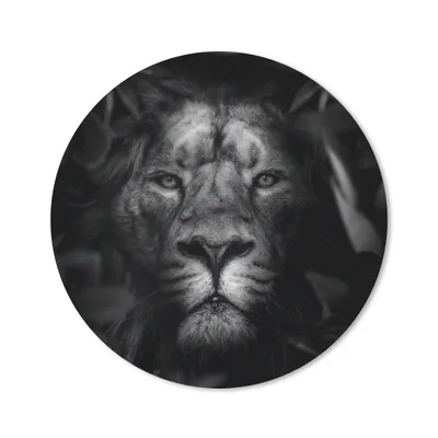 Produktbild von MuchoWow® Mauspad Mousepad Tiere - Löwe - Dschungel - Schwarz - Weiß 40x40 cm - Mousepads - Maus Mat - Pad - Mausunterlage - Schreibtisch Accessoires