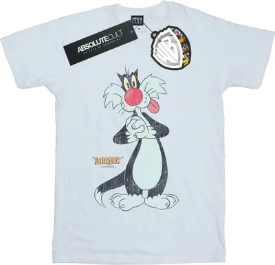 Obrázek produktu pro Looney Tunes - pánské tričko BI35123 (S) (Bílá)