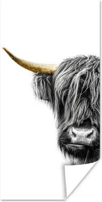Produktbild von MuchoWow® Poster Schottischer Highlander - Tiere - Schwarz und Gold 20x40 cm - Plakat - Foto