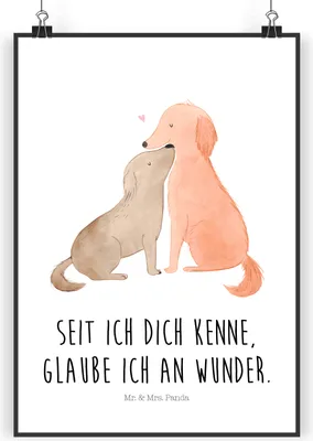 Produktbild von Mr. & Mrs. Panda Bild Hunde Liebe DIN A3 - Weiß - Geschenk, Deko, Optimitisch, Sprüche, Kunstdruck, Hund, Kuscheln, drucke, Wandbild, wanddeko, Herz, Vertrauen