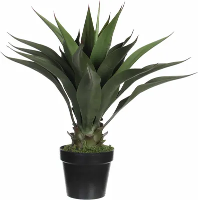 Produktbild von Mica Decorations Agave Kunstpflanze - H60 x Ø25 cm