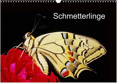 Produktbild von Schmetterlinge (Wandkalender 2025 DIN A3 quer), CALVENDO Monatskalender