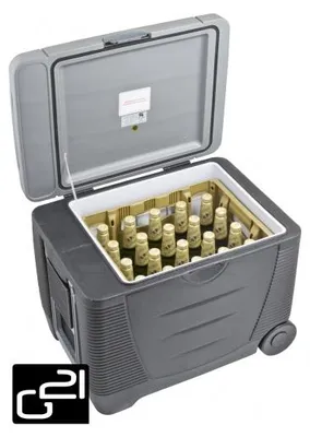 Immagine prodotto di G21 CW 45 l 12/240 V