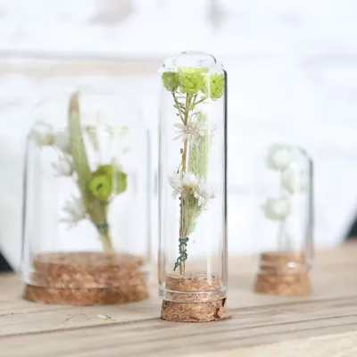 Produktbild von Glasdom 'Mini' mit Korksockel, in vielen Größen auswählbar | Glas-Dome , Größe:Ø4 h.6 cm