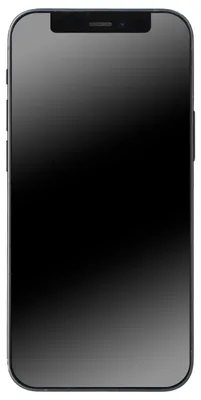 Immagine prodotto di Apple iPhone 12 mini , 13,7 cm (5,4"), 2340 x 1080 pixel, 256 GB, 12 MP, iOS 14, Schwarz