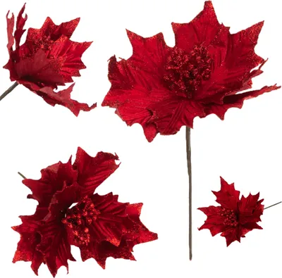 Image de Étoile De Bethléem Sur Plume Poinsettia Renversée Brocart Décoratif Pour Un Roseau