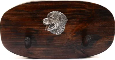 Imagen del producto de Art-Dog Perchero de pared – Boyero de Berna – con 2 ganchos