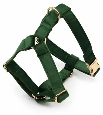 Produktbild von Nanook Signature Hundegeschirr – Forest Green – Größe S