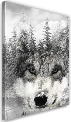 Image de Toile loup dans la forêt paysage naturel 70x100 cm Feeby gris tableau mural prêt à accrocher
