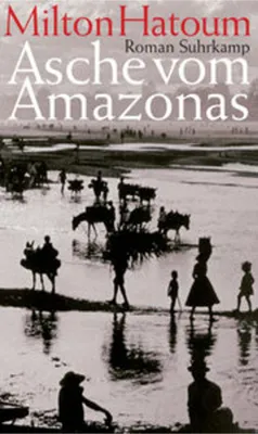 Image de Asche vom Amazonas