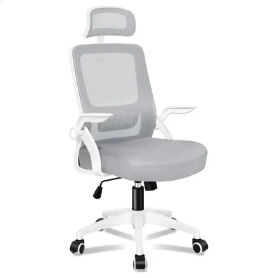 Produktbild von ALFORDSON Büro-Schreibtischstuhl, ergonomisch für Heimbüro, Computer-Netzstuhl mit dynamischer Lordosenstütze, Kopfstütze, Grau