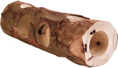 Produktbild von Trixie Röhrentunnel für Kleinnager - ca. 30 cm