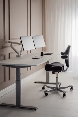 Image de BakkerElkhuizen Bras de moniteur double BNEBFDW ws