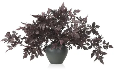 Künstliche Cimicifuga-Blätter, 10 Stück, 81,3 cm, Herbstdeko