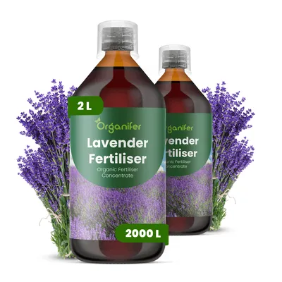 Produktbild von Lavendel Flüssigdünger 2x1L – 2-1-8 NPK – Flüssig-Pflanzendünger für Lavendel – Fördert stabile Pflanzenstruktur & aromatische Blüten – Organifer