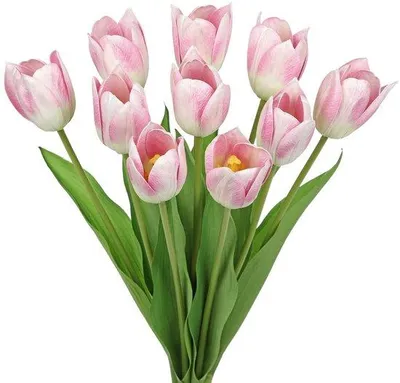 Immagine prodotto di Tulipani finti - Fiori artificiali - 10 pezzi - Rosa - 50 cm