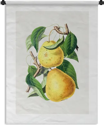 Produktbild von MuchoWow® Wandteppich Wandbehang Birne - Obst - Vintage 150x200 cm Tapisserie Dekoration Wandtuch - Wandaufhängung - Moderner