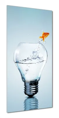 Produktbild von Wallario selbstklebende Duschrückwand 80 x 190 cm mit Motiv Goldfisch springt aus Aquarium - Wandverkleidung mit Hochglanzlaminat in Glasoptik