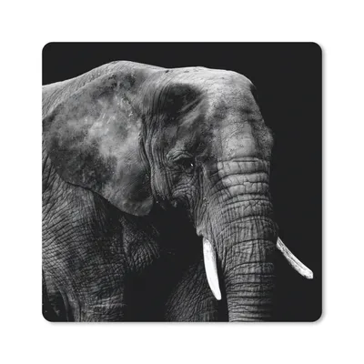 Produktbild von MuchoWow® Mauspad Mousepad Elefant - Tiere - Schwarz - Weiß 30x30 cm - Mousepads - Maus Mat - Pad - Mausunterlage - Gaming