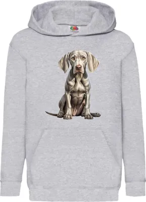 Obrázok produktu pre Detská Mikina S Kapucňou Dogs Breeds Weimaraner Dog Breed 006, 12-13 Jahr - 152 / Heather šedá