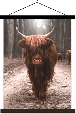 Produktbild von MuchoWow® Textilposter Schottisches Hochlandrind - Wald - Kuh - Tiere - Natur 90x120 cm mit schwarzem Rahmen - Dekoration