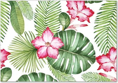 Produktbild von Tulup® Glas-Bild - 100 x 70 - Wandbild aus Glas - Wandkunst - Wandbild hinter gehärtetem Sicherheitsglas - Blumen & Pflanzen - Tropische Blumen - Rosa