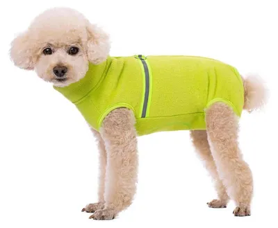 Image de Pull en polaire pour chien avec gilet réfléchissant, couleur verte, taille XL