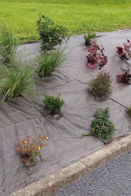 Image de Toile de paillage tissée "Weedsol" 1,25 x 25 m - Marron