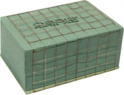 Produktbild von OASIS® BIOLINE® Deco Platte - 23 x 16 x 11 cm - 2 Stück