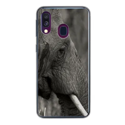 Produktbild von MuchoWow® Handyhülle Schutzhülle Hülle für Samsung Galaxy A40 Elefant - Tiere - Schwarz - Weiß Silikon Softcase Handy Hülle - Handy-Tasche