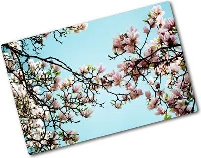 Produktbild von Tulup Glas Herdabdeckplatte - 80x52 cm - Glaskeramikkochfeld-Abdeckung Spritzschutz Glasabdeckplatte - Einteilig - Blumen & Pflanzen - Magnolie Blumen - Blau